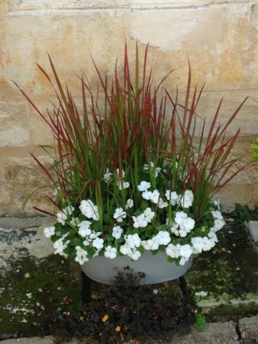 Bed & Breakfast Jardin D'arcy