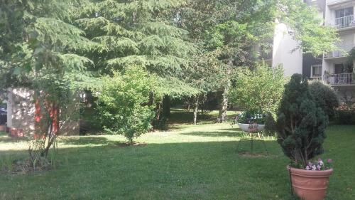 Apartamentos L'appartement Du Haut Plessis
