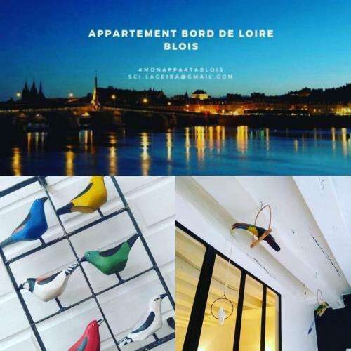 Apartamento Duplex 60 M2 Bord De Loire