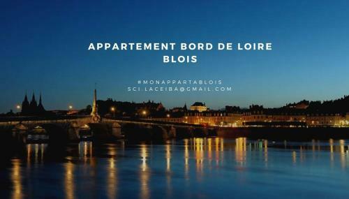 Apartamento Duplex 60 M2 Bord De Loire