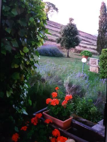 Agroturismo Poggio Bicchieri