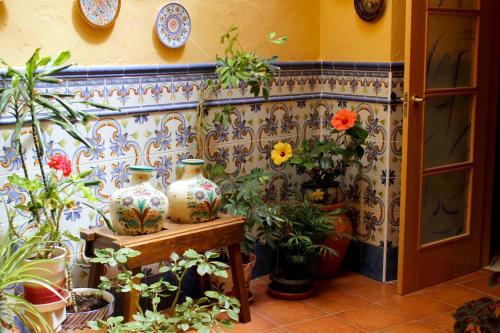 Hostal Pepe Campaspero