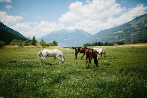 Agroturismo Landgut Moserhof
