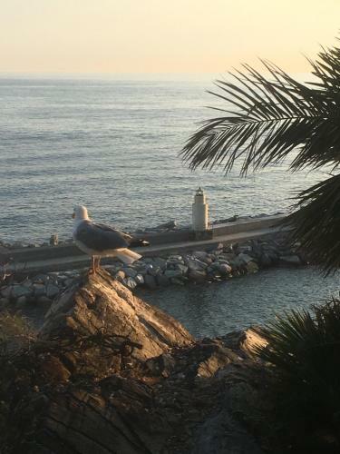 Casetta Del Marinaio B&B Apartment With Sea View
