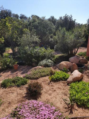 Mini-villas C�lia � Bonifacio