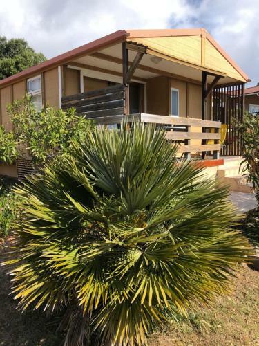 Les Chalets De La Residence A Santa Trinita