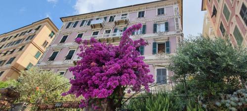 Apartamento Palazzo Degli Armatori Appartamento Storico