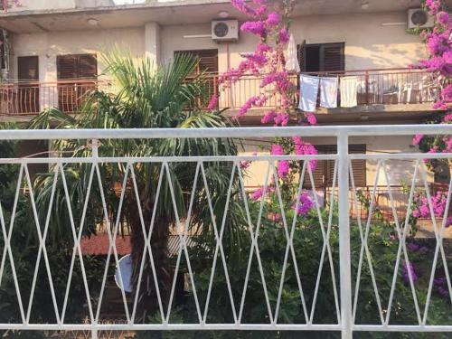 Apartamento Pavlinovi? Jure
