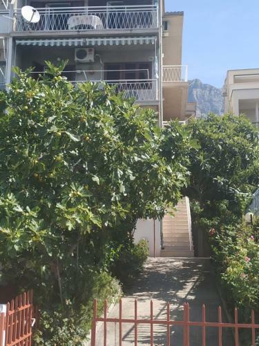 Apartamento Pavlinovi? Jure