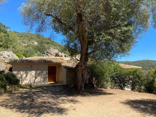 Villa 8 Personnes, Piscine Chauff�e
