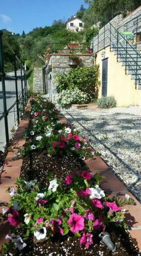 B&B Le Colline Di Bana Camogli