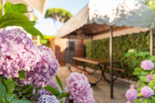Apartment Holiday Versilia