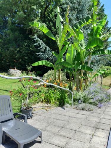 Gite Et Chambres Le Coin Arbor�