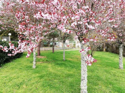 Bed & Breakfast Domaine Des Goudis