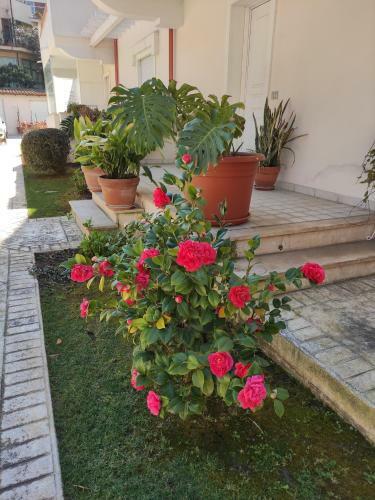 Apartamento Villino Matilde