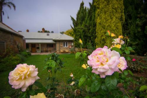 Grand Cru Estate Homestead