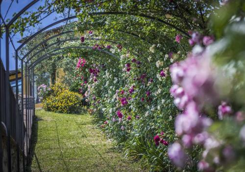 Villa Solaria By Mc Luxury Rentals