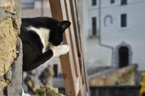 Hostal Il Cortile Del Castello