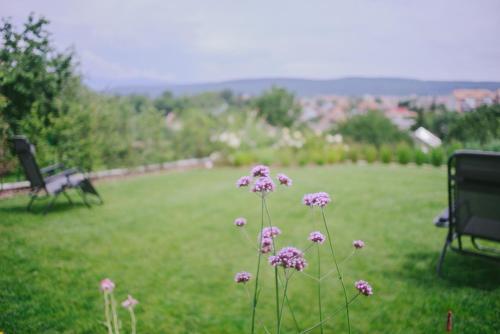 Apartamento ??????????? True Love ? ????? ?? ????