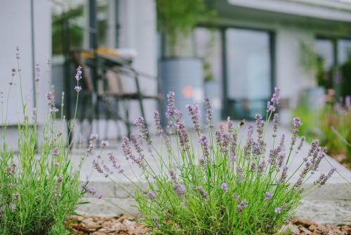 Apartamento ??????????? True Love ? ????? ?? ????