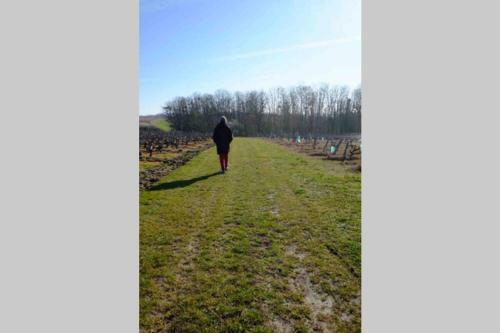 Petit Gite Ind�pendant 2* Entre Vignoble Et Cher