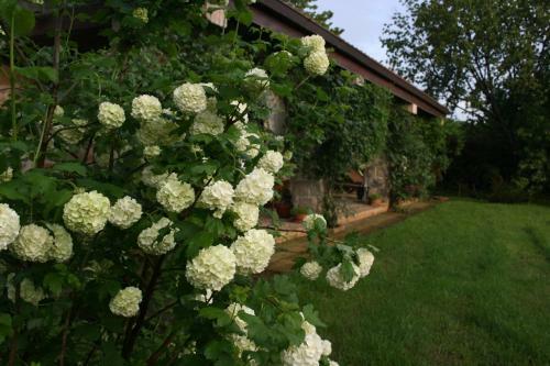 Agroturismo Cottage Beach Vico