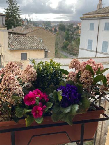 Apartamento La Casetta Nel Granaio