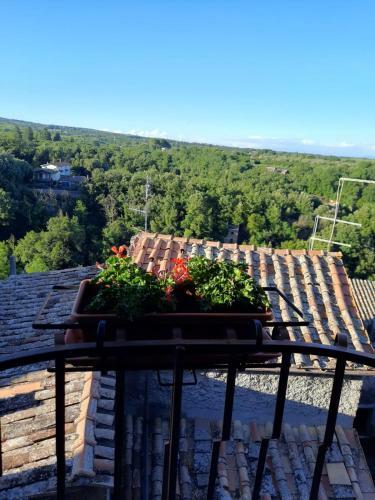 Apartamento Sui Tetti Del Borgo