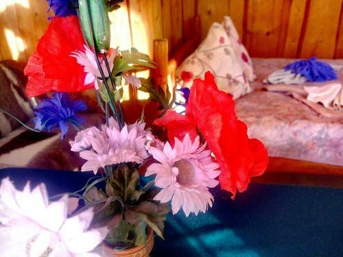 Hostal Gostynniy Dvir Raytshtoky