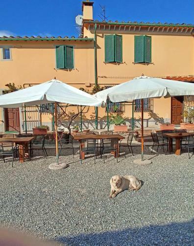 Apartamento Alloro Case Vacanze 3