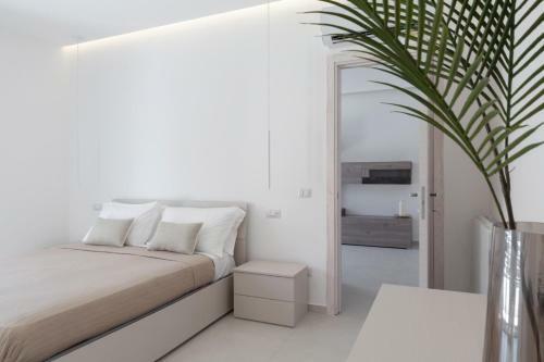 Apartamento Cordovena Suites