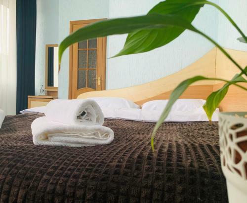 Hotel Femina