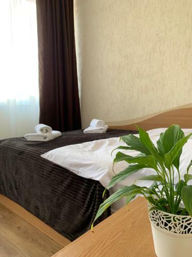 Hotel Femina