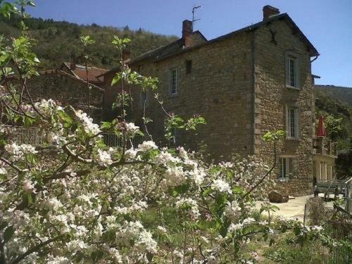 Les Gites De La Petite Boynarde