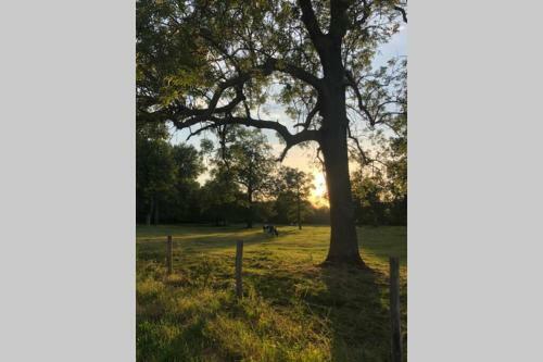 Apartamento Maison La D�co Verte