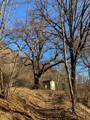 Apartamento Residenza Al Piano