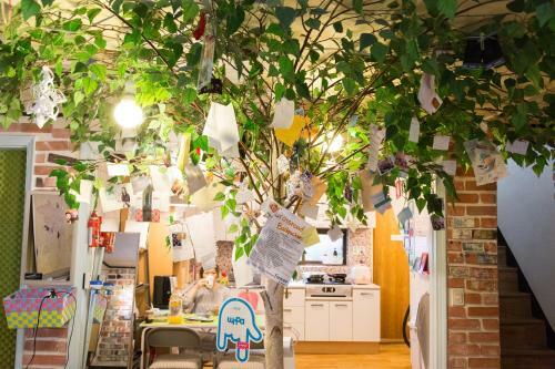 Albergue Crossroad Backpackers Hongdae