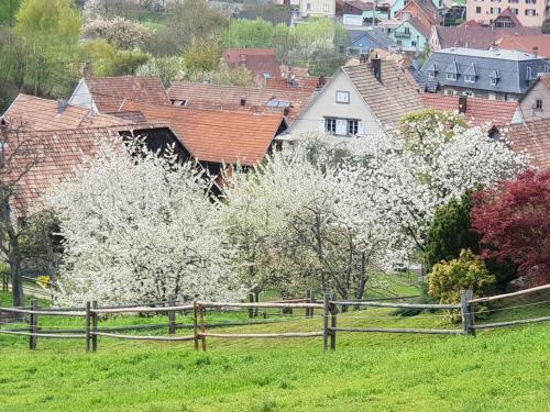 Apartamento Petit Week End Dans La Vall�e