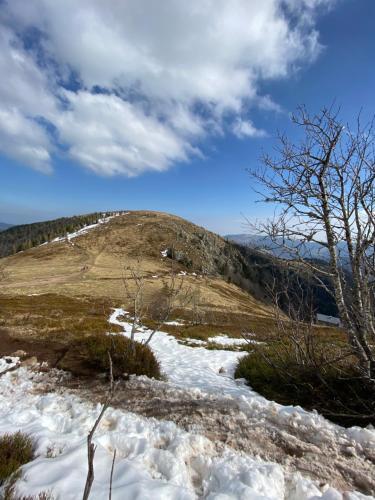 Apartamento G�te Avec Piscine Chez V�ro