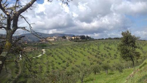 Bed & Breakfast Podere Sanlorenzo