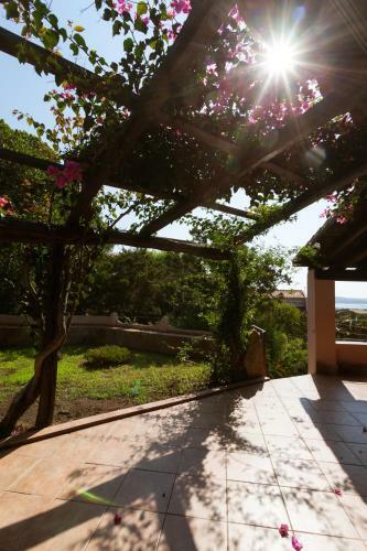 Villa Con Magnifico Terrazzo Iun P6868