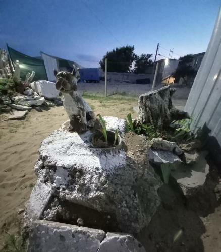 Posada Near The Sea