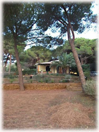 Villino Dei Peducelli