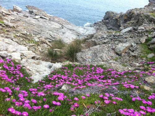 Isola D'elba Come In Barca, A Un Tuffo Dal Mare