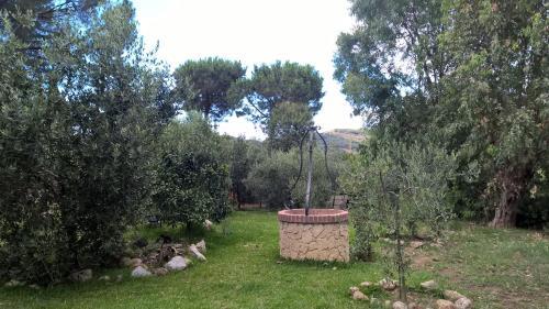Le Case Del Riccio - Isola D'elba (049004ltn0006)