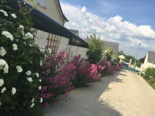 Bed & Breakfast Mille Et Une Bulles 51