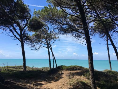 Apartamento Toscana Tour - La Ninfea With Sea View