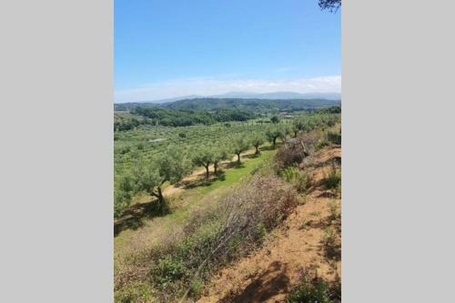 Casa In 8 Ettari Di Campagna, A 20' Dal Mare