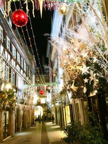 Apartamento Loft � Proximit� D'europa Park Et Strasbourg