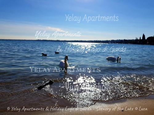 Yelay Apartments & Holiday Lago Di Garda